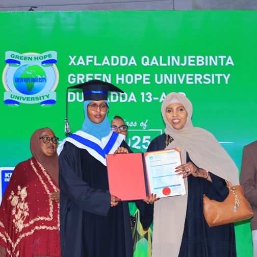 531041139 1205202058319659 1814196004077837696 n