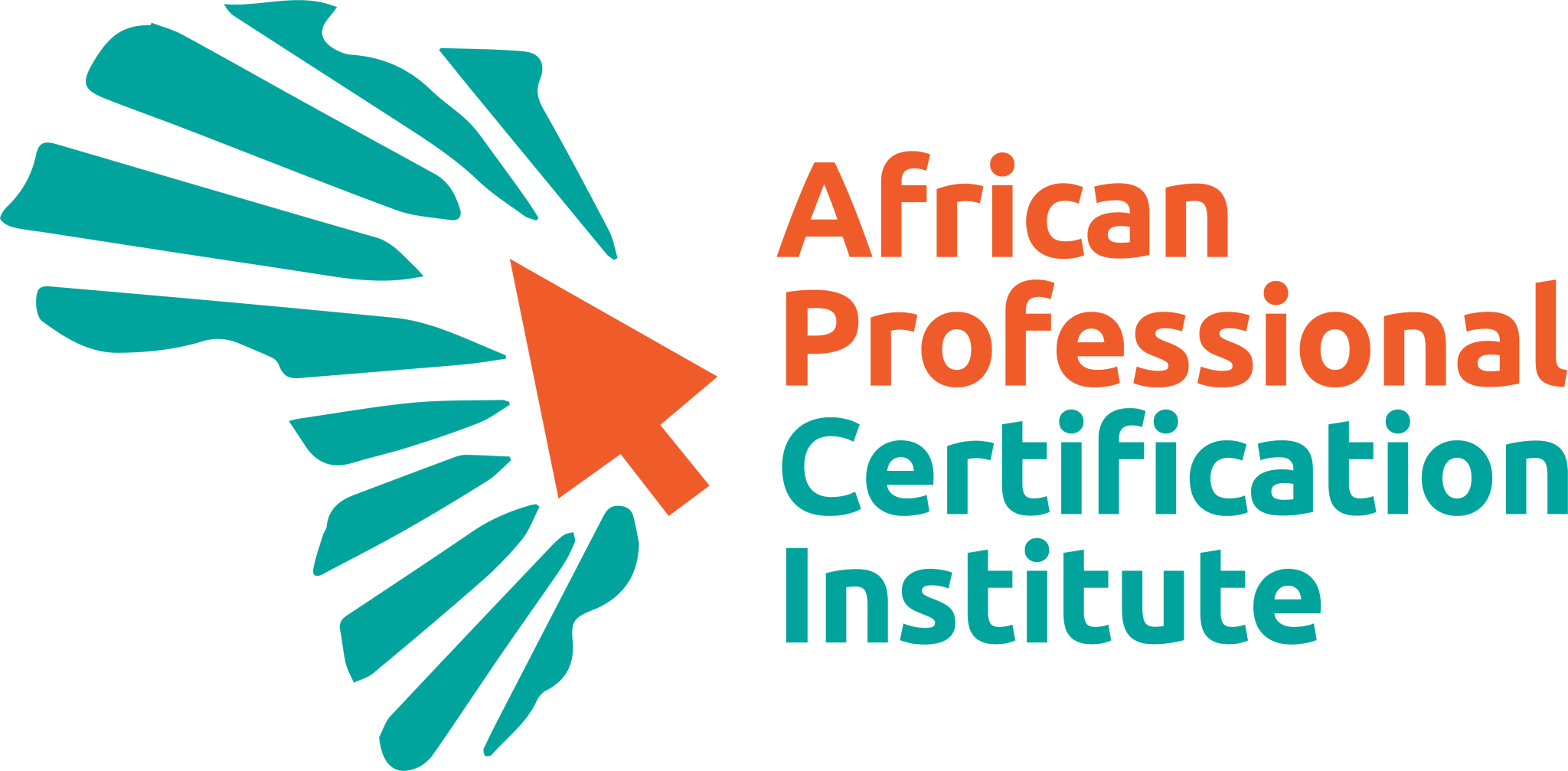 african professional cerification institute apci logo 2048x1007